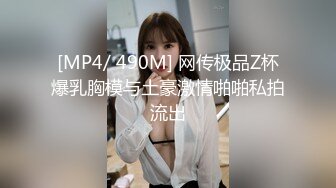 [JXH33] 水原千鶴 [出租女友]