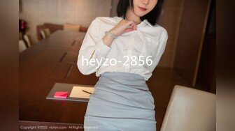 heyzo-2856