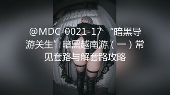 @MDC-0021-17 “暗黑导游关生”暗黑越南游（一）常见套路与解套路攻略