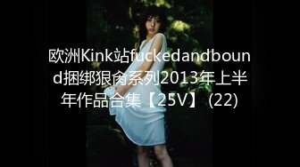 欧洲Kink站fuckedandbound捆绑狠肏系列2013年上半年作品合集【25V】 (22)