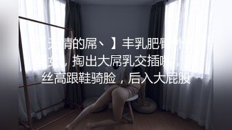 【无情的屌丶】丰乳肥臀外围骚女，掏出大屌乳交插嘴，黑丝高跟鞋骑脸，后入大屁股