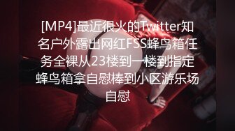 [MP4]最近很火的Twitter知名户外露出网红FSS蜂鸟箱任务全裸从23楼到一楼到指定蜂鸟箱拿自慰棒到小区游乐场自慰