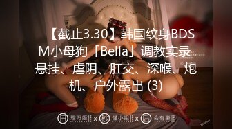 ✨【截止3.30】韩国纹身BDSM小母狗「Bella」调教实录 悬挂、虐阴、肛交、深喉、炮机、户外露出 (3)