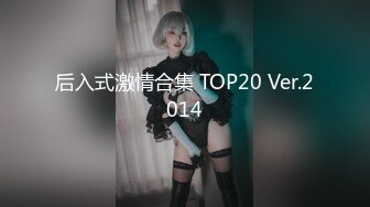 后入式激情合集 TOP20 Ver.2014