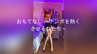 おもてなし ～チンポを熱くさせる女たち～