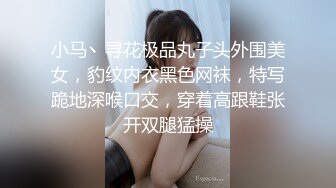 小马丶寻花极品丸子头外围美女，豹纹内衣黑色网袜，特写跪地深喉口交，穿着高跟鞋张开双腿猛操