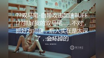 ??双马尾-自带攻击加速BUFF!??抓好我的双马尾……不对，抓好方向盘，后入实在是太深了，会坏掉的