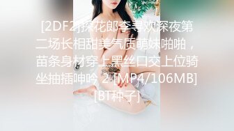 女仆情趣2