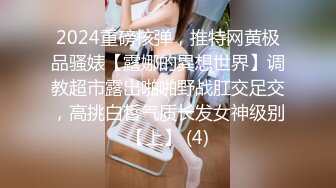 2024重磅核弹，推特网黄极品骚婊【露娜的異想世界】调教超市露出啪啪野战肛交足交，高挑白皙气质长发女神级别【上】 (4)