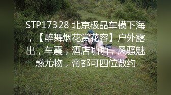 STP17328 北京极品车模下海，【醉舞烟花赏花容】户外露出，车震，酒店啪啪，风骚魅惑尤物，帝都可四位数约