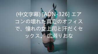 (中文字幕) [ADN-326] エアコンの壊れた真夏のオフィスで、憧れの女上司と汗だくセックス。 広瀬りおな