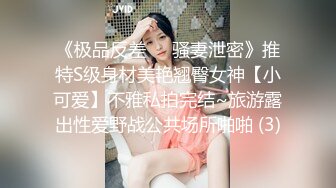 《极品反差㊙️骚妻泄密》推特S级身材美艳翘臀女神【小可爱】不雅私拍完结~旅游露出性爱野战公共场所啪啪 (3)