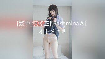 [繁中_無修正][PashminaＡ] オトメヒメ