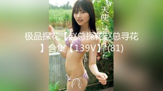 极品探花【赵总探花赵总寻花】合集【139V】 (81)