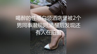 我的女仆哪有这么骚 二次元老婆穿越现实帮我吹-黎娜