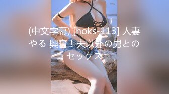 (中文字幕) [hoks-113] 人妻やる 興奮！夫以外の男とのセックス