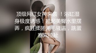 MD0288 麻豆传媒 操爆骚话女仆 每天都是情人节 苏畅