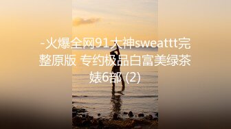 -火爆全网91大神sweattt完整原版 专约极品白富美绿茶婊6部 (2)