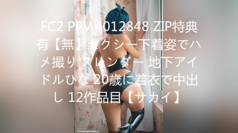 FC2 PPV 4012848 ZIP特典有【無】セクシー下着姿でハメ撮り スレンダー 地下アイドルひな 20歳に着衣で中出し 12作品目【サカイ】