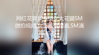 网红花臂纹身美女大花猫SM微拍视频,女主颜值很高,SM滴蜡,抽打3