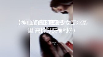 Al&mdash;张钧宁女仆内射