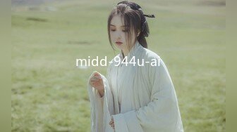 midd-944u-ai