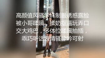 [2DF2] 伪娘乔晶晶被波兰大奶人妖爆操 再用很粗的假屌塞入菊花很是会玩[MP4/248MB][BT种子]