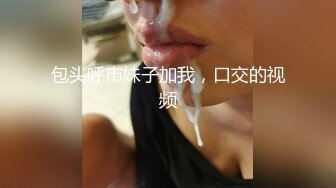 我的小野马