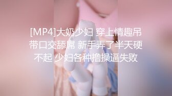 [MP4]大奶少妇 穿上情趣吊带口交舔屌 新手弄了半天硬不起 少妇各种撸操逼失败