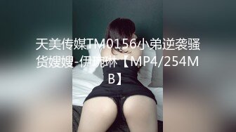 天美传媒TM0156小弟逆袭骚货嫂嫂-伊琬琳【MP4/254MB】