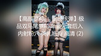 【高颜萝莉❤️重磅核弹】极品双马尾萝莉 车震无套后入 内射粉穴 美乳翘臀 高清 (2)