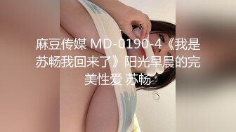 麻豆传媒 MD-0190-4《我是苏畅我回来了》阳光早晨的完美性爱 苏畅