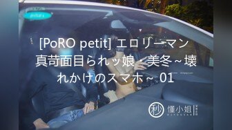 [PoRO petit] エロリーマン 真苛面目られッ娘・美冬～壊れかけのスマホ～ 01