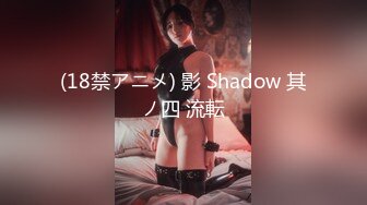 (18禁アニメ) 影 Shadow 其ノ四 流転