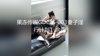 果冻传媒GDCM-003妻子淫行计划1-余丽