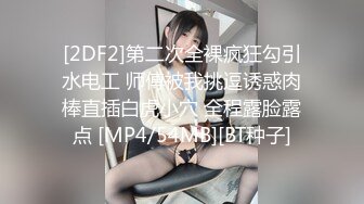 老婆口硬了再艹