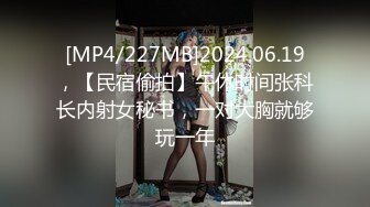 [MP4/227MB]2024.06.19，【民宿偷拍】午休时间张科长内射女秘书，一对大胸就够玩一年