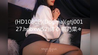 (HD720P)(Mywife)(No1164)山下 れん 蒼い再会