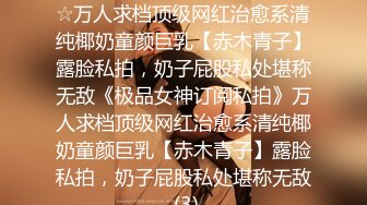 ★☆《极品女神订阅私拍》★☆万人求档顶级网红治愈系清纯椰奶童颜巨乳【赤木青子】露脸私拍，奶子屁股私处堪称无敌《极品女神订阅私拍》万人求档顶级网红治愈系清纯椰奶童颜巨乳【赤木青子】露脸私拍，奶子屁股私处堪称无敌 (3)