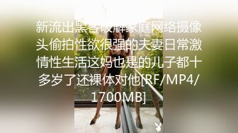 SWAG minicat主播喜欢的鸟鸟尺寸大公开 Minicat