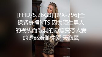 [FHD/5.26GB] [IPX-796]全裸紧身裙NTS 因为陌生男人的视线而湿润的隐藏变态人妻的诱惑羞耻性爱 天海翼