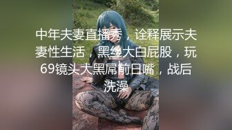 Al&mdash;名井南被调教颜射