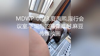 MDWP-0023.夏禹熙.淫行会议室.下班后的搔痒难耐.麻豆传媒映画