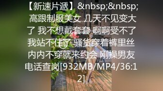 麻豆传媒 MD150-1 疫情下的背德假期 陌生人篇 舒可芯