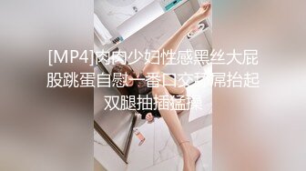 [MP4]肉肉少妇性感黑丝大屁股跳蛋自慰一番口交舔屌抬起双腿抽插猛操