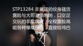 STP13284 非常骚的纹身骚货露脸与大哥激情啪啪，口交足交玩的非常嗨皮，全程露脸高能各种爆草抽插，直接给鸡巴干软了