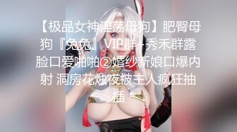 牛逼约炮大神『91魅哥』高清HD版性爱集你们眼中的高颜女神被无情内射 高清1080P原版 (7)