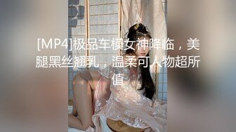 [MP4]极品车模女神降临，美腿黑丝翘乳，温柔可人物超所值