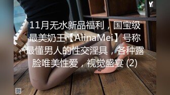 11月无水新品福利，国宝级最美奶王【AlinaMei】号称最懂男人的性交淫具，各种露脸唯美性爱，视觉盛宴 (2)