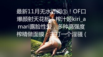 OnlyFans~混血内衣模特【ploytigerstam】23年订阅合集~亚裔极品身材~美乳情趣丝袜~大尺度私拍【495V】 (91)